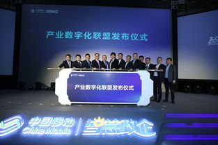 8网联盟，重塑数字时代信息生态的跨界合作