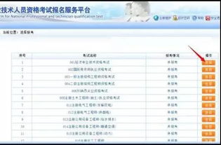 百度空间如何增加广告联盟代码，详细步骤与注意事项