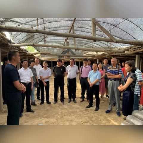 成果网，构建知识共享新生态，激发创新潜能的无限可能