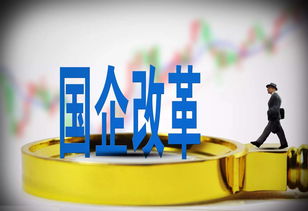 揭秘9991日付联盟，一场数字支付领域的变革与机遇