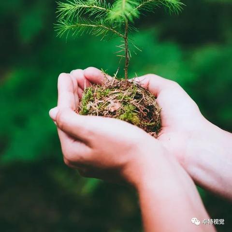 5566广告联盟，打造高效广告投放，引领数字营销新风尚