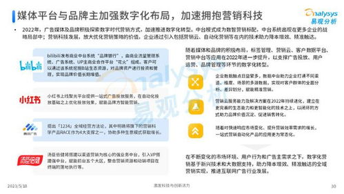 PEE广告联盟，重塑数字营销新生态的领航者