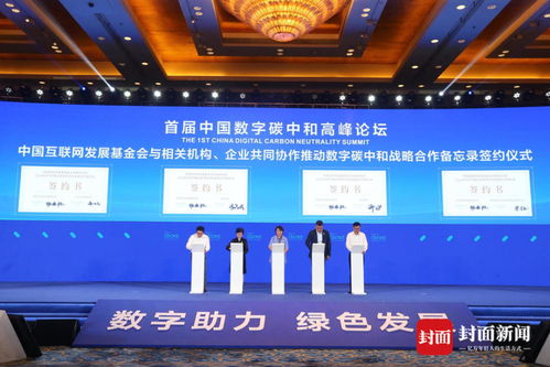 红袖联盟，编织数字时代下的创意与协作新篇章