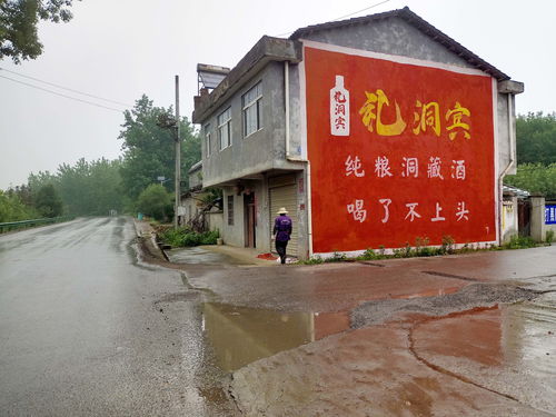 老乡广告联盟，连接乡土情感，共筑商业桥梁