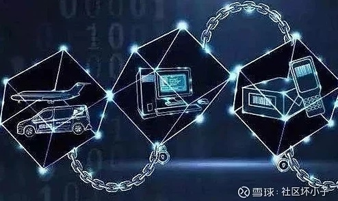 伯乐交换链联盟，重塑价值网络，引领数字经济新生态