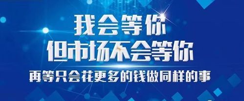 金玉广告联盟，打造精准营销，引领数字时代广告新风尚
