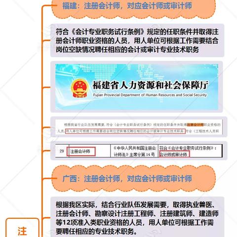 揭秘X档案CPA联盟，会计行业的隐秘力量与未来趋势