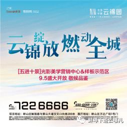 直推网盟，重塑网络营销生态的革新力量