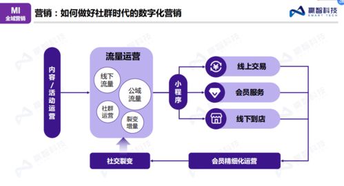 易发联盟，重塑内容营销新生态，引领数字营销新潮流