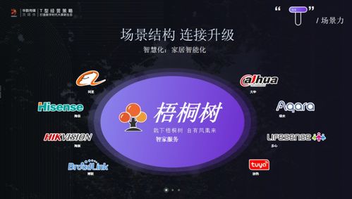 橘子网络传媒，重塑数字时代传媒新生态