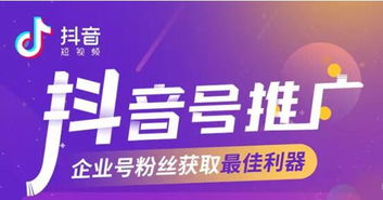 114广告联盟，打造高效广告投放，助力企业精准营销