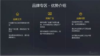 VIP广告联盟，打造高效精准广告投放的秘诀