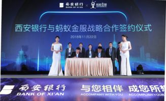 SOSO联盟，重塑零售生态，引领未来商业变革