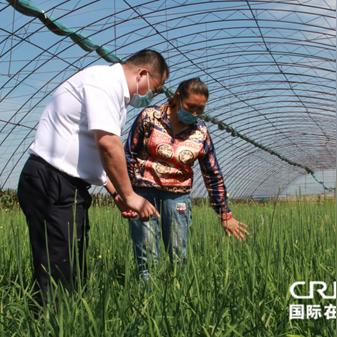 433广告联盟，打造高效广告投放，助力企业营销升级