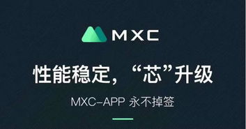 中广传媒，引领数字时代传媒变革的创新先锋