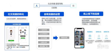 909IP交换链，重塑数字时代下的网络交互新生态