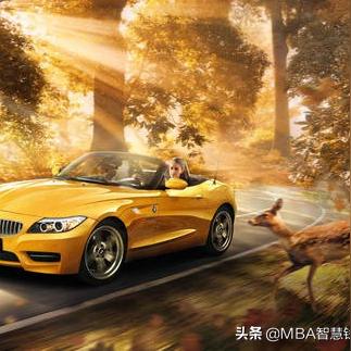 356广告联盟，打造高效广告投放，引领数字营销新风尚