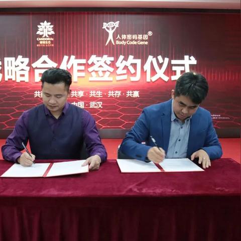 探索我的百分之一网站联盟，共创共赢的互联网新生态