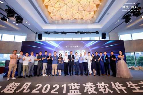 大禾流量联盟，打造高效流量变现的秘诀