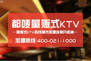 网易网站联盟，打造高效广告变现的桥梁