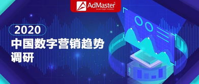 搜酷广告联盟，重塑数字营销新生态的先锋力量