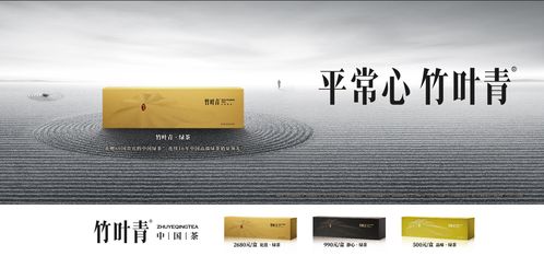 宏志广告联盟，携手共创数字营销新纪元