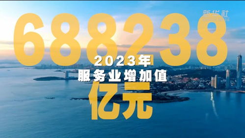 老榕树广告联盟，打造高效广告生态，引领数字营销新风尚