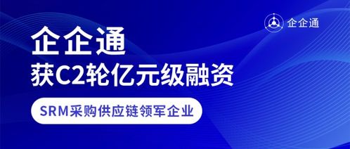 飞飞链日付联盟，重塑支付生态，引领数字金融新纪元