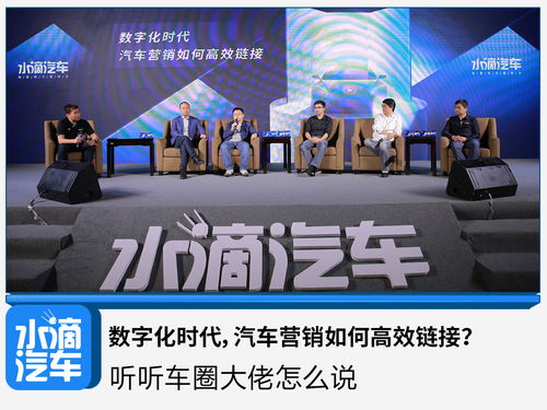 乐鱼广告联盟，打造高效广告生态，引领数字营销新风尚