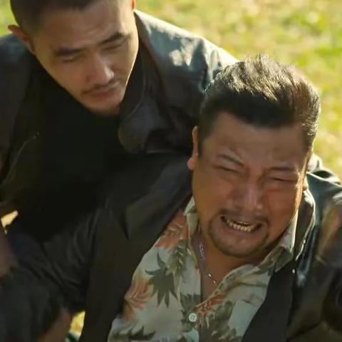 13AD广告联盟，打造高效广告投放，引领数字营销新时代