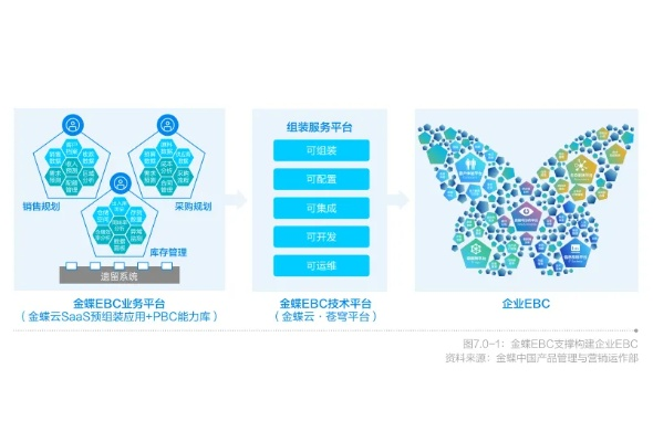巨盟365，构建企业数字化转型的坚实桥梁