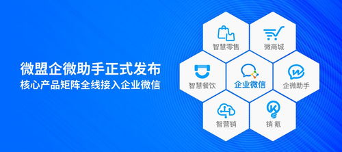 金楚广告联盟，打造高效营销生态，引领数字时代广告新风尚