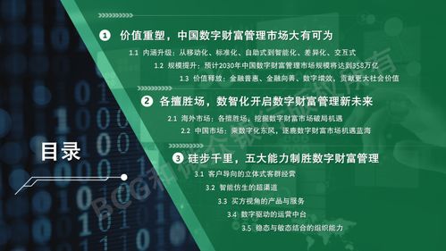 91淘金CPL，探索数字时代的财富新机遇