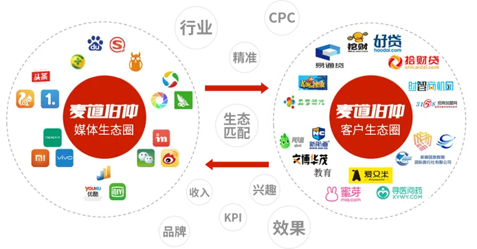 蜂鸟广告联盟，重塑数字营销新生态的先锋力量