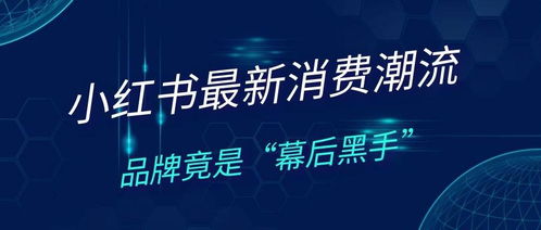 天盟广告联盟，重塑数字营销新生态，引领广告创新潮流