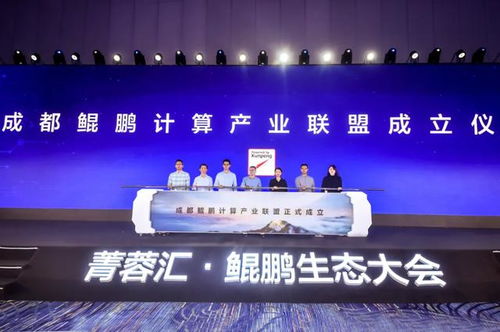 锐磊联盟，携手并进，共创数字时代新篇章