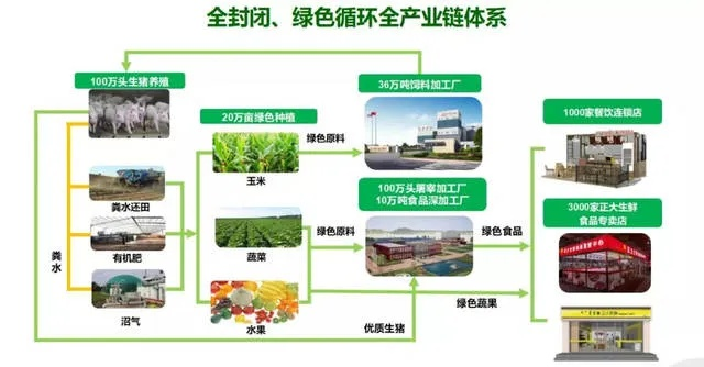 黑蒜网盟，重塑农业产业链，引领健康新风尚