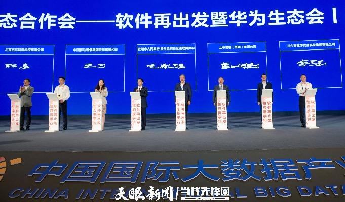 256联盟，重塑数字时代的合作与共赢