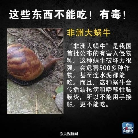 蜗牛健康，探索自然疗法与身心平衡的奥秘