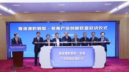 908联盟，重塑产业生态，引领科技创新新纪元