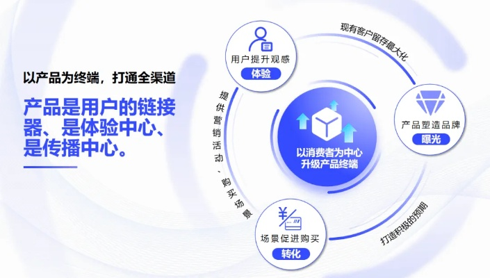 紫云广告联盟，重塑数字营销新生态