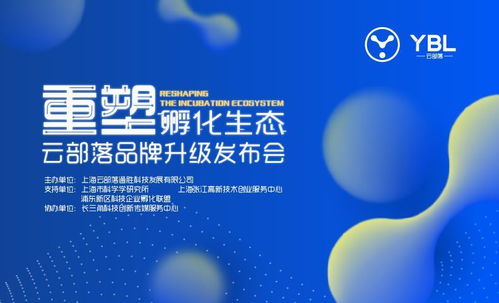 思创广告联盟，重塑数字营销新生态，引领品牌创新之路