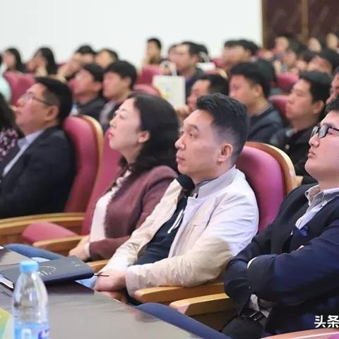 飞马广告联盟，重塑数字营销新生态的先锋力量