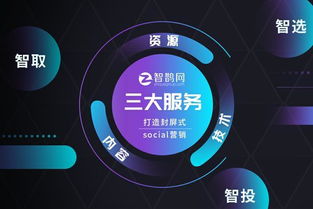 爱投广告联盟，精准营销，助力企业高效增长