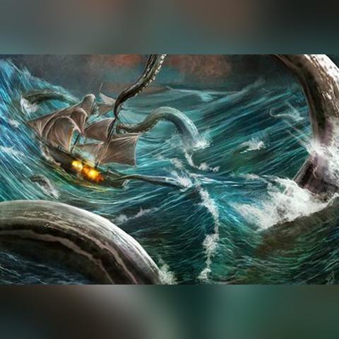 鲨鱼移动联盟，重塑海洋生态，引领可持续渔业革命