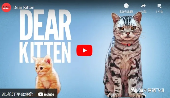 Ad LeMeow，猫咪品牌的创意营销与社交媒体风潮