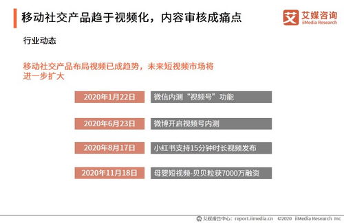 宝利交友CPA联盟，重塑社交与职业发展的双赢模式