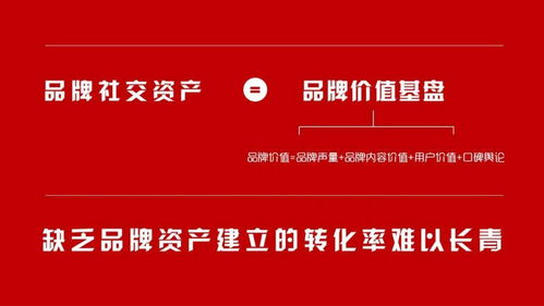 比特交友联盟，重塑数字时代下的社交新生态