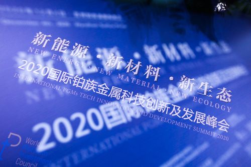 西线联盟，重塑欧洲能源版图的新篇章