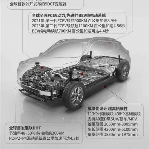 438美女视频联盟，探索网络时代的审美变迁与娱乐新生态